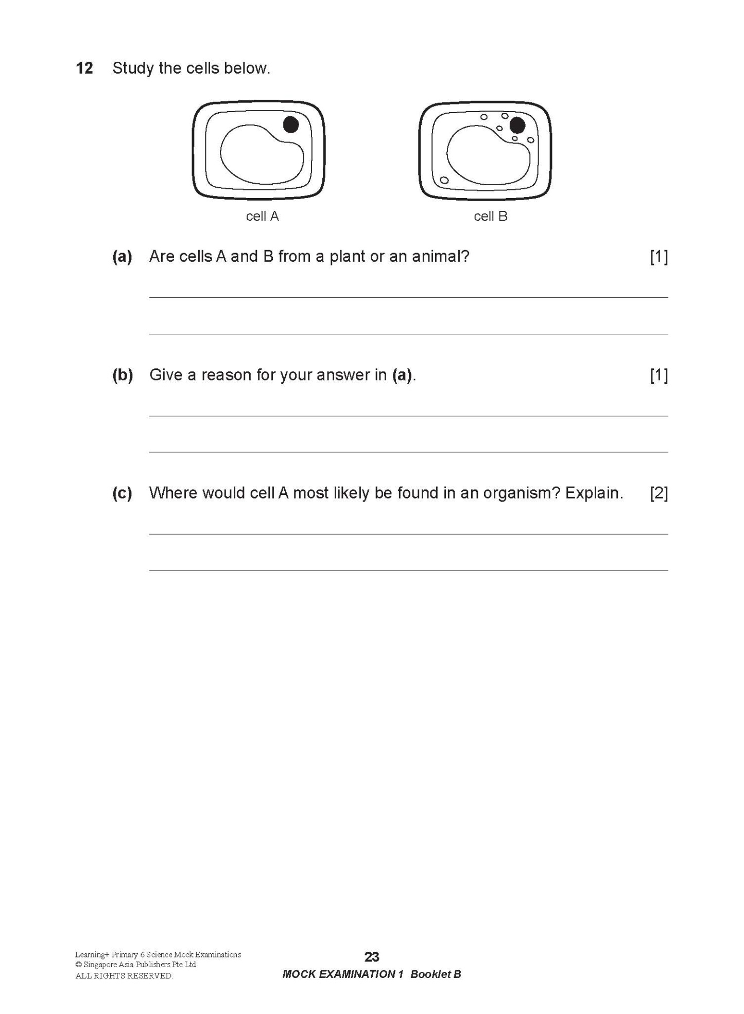 LEARNING+ Primary 6 Science Mock Examinations