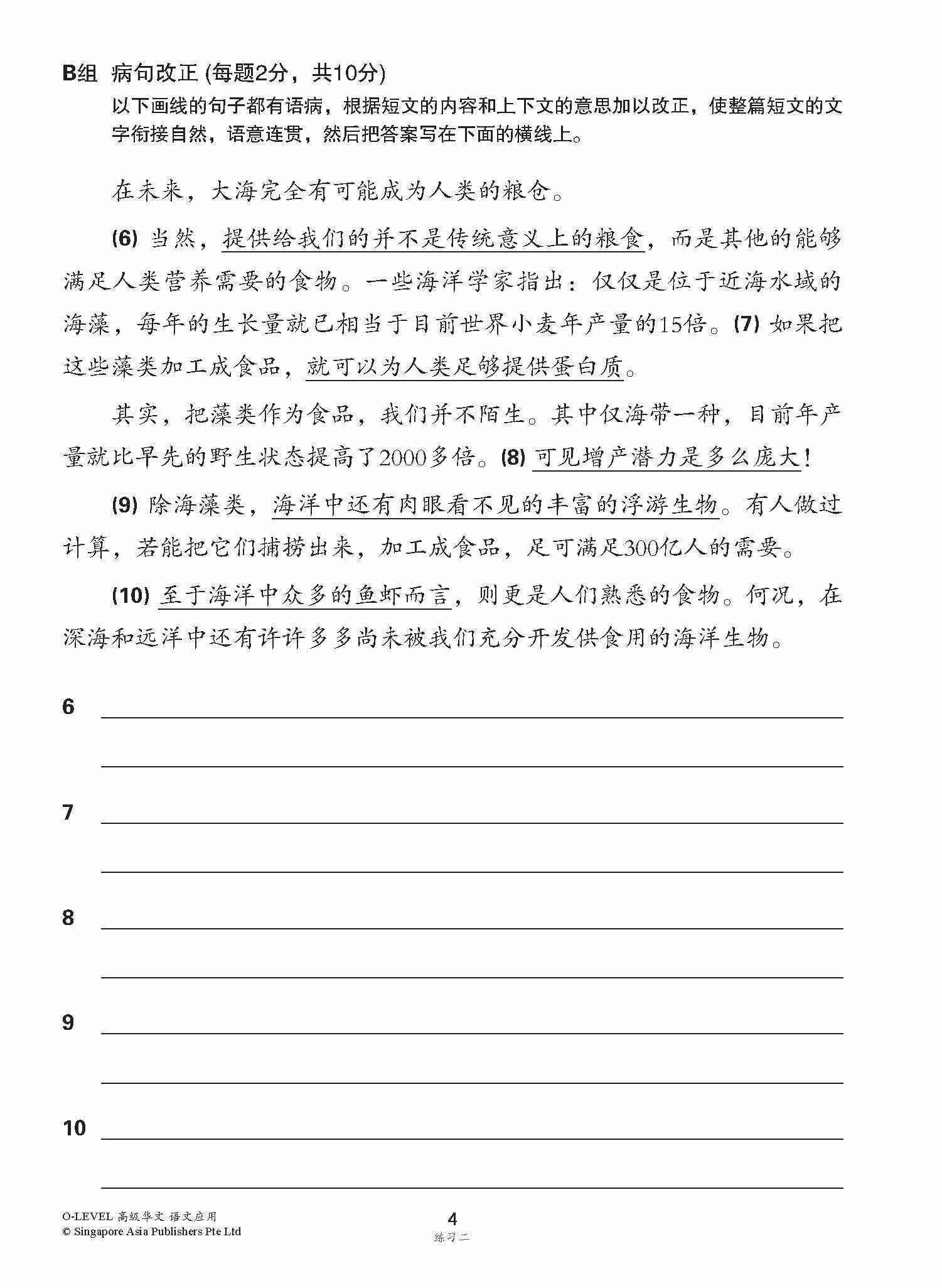O-LEVEL 高级华文语文应用 / Language and Usage Enrichment Exercises For O-Level Higher Chinese