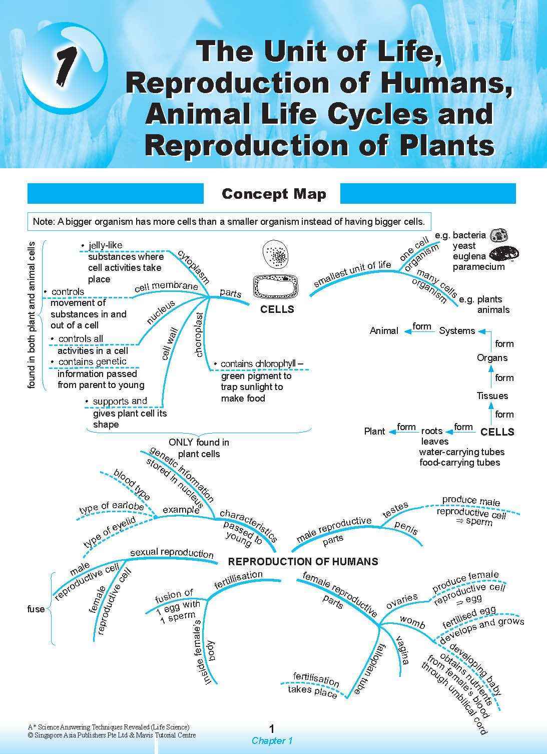 A* SCIENCE ANSWERING TECHNIQUES Revealed for upper primary levels (LIFE SCIENCE)