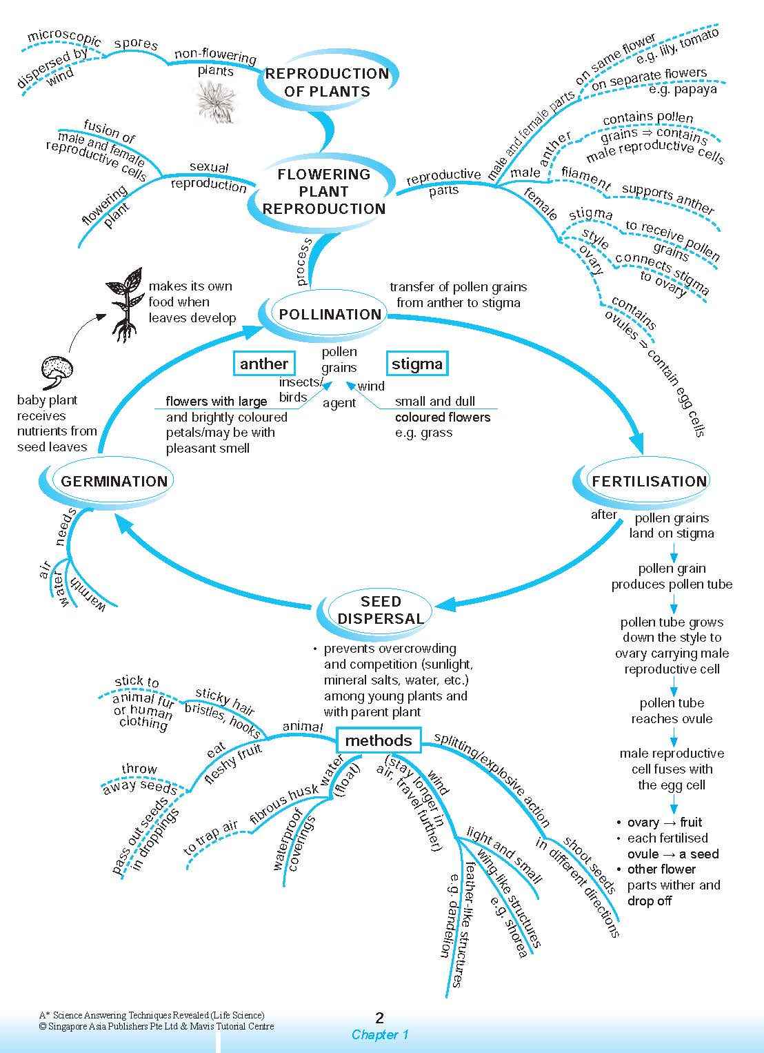 A* SCIENCE ANSWERING TECHNIQUES Revealed for upper primary levels (LIFE SCIENCE)