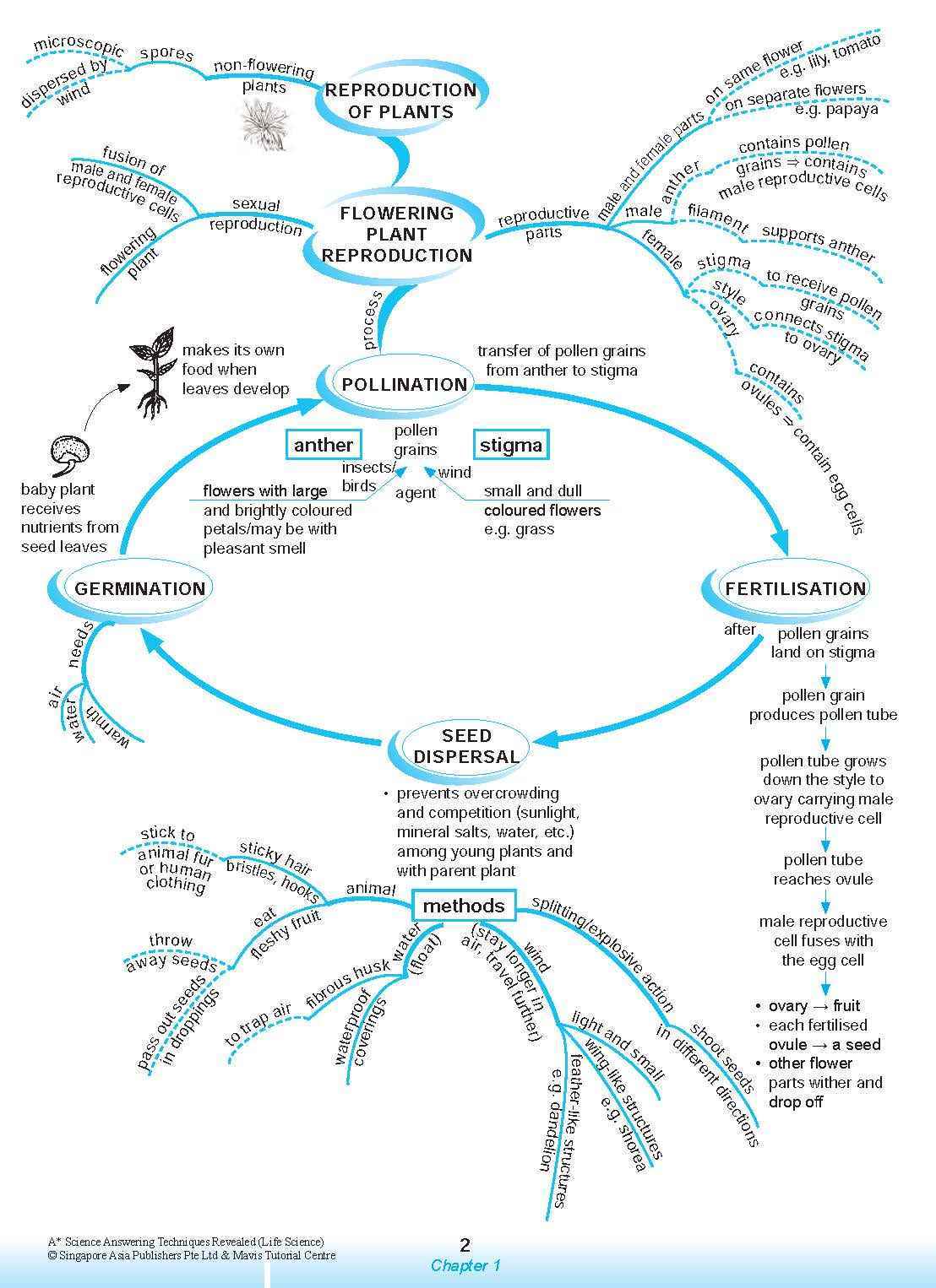 A* SCIENCE ANSWERING TECHNIQUES Revealed for upper primary levels (LIFE SCIENCE)