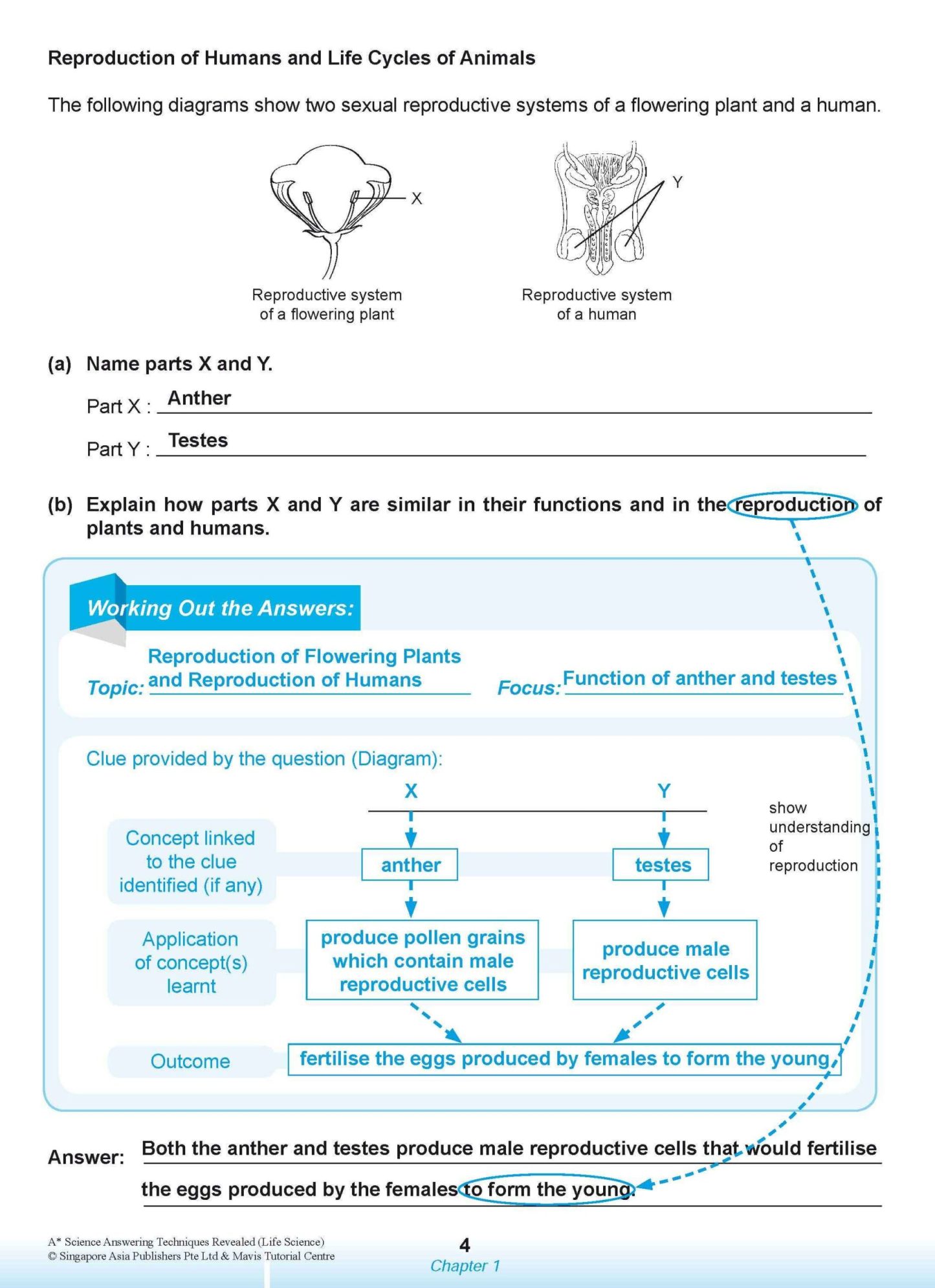 A* SCIENCE ANSWERING TECHNIQUES Revealed for upper primary levels (LIFE SCIENCE)
