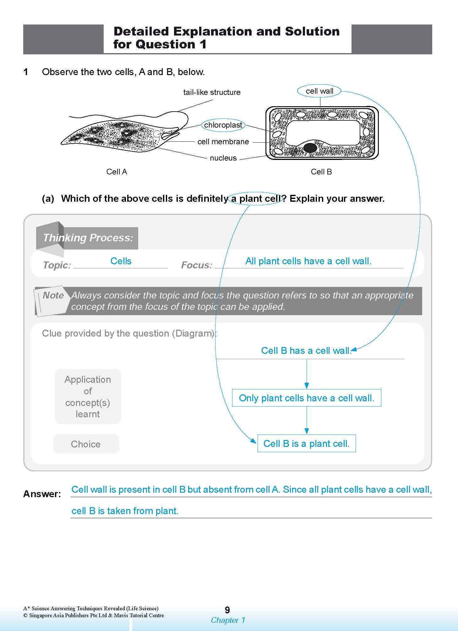 A* SCIENCE ANSWERING TECHNIQUES Revealed for upper primary levels (LIFE SCIENCE)