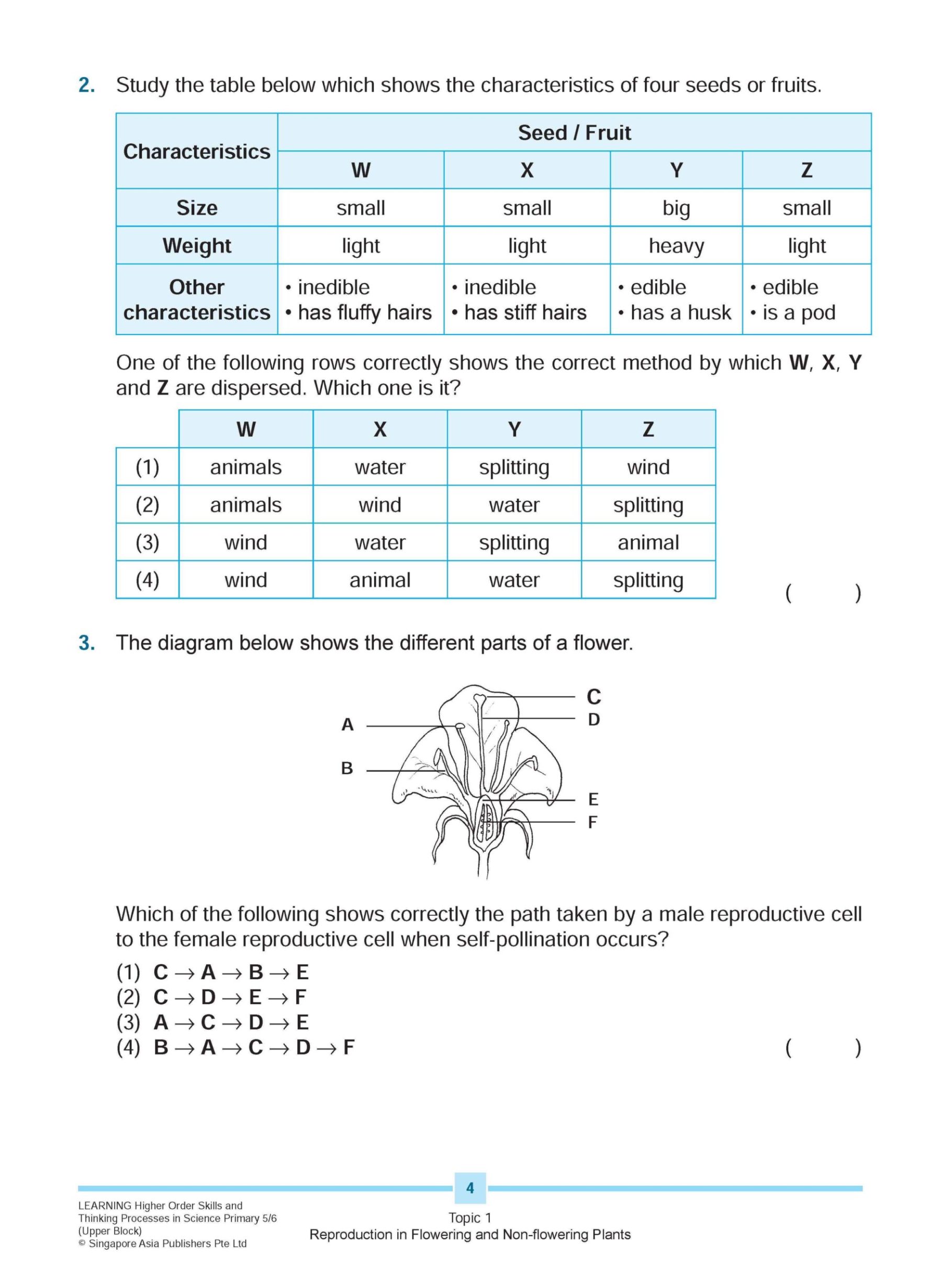 LEARNING HIGHER ORDER SKILLS and THINKING PROCESSES in SCIENCE UPPER BLOCK 5/6
