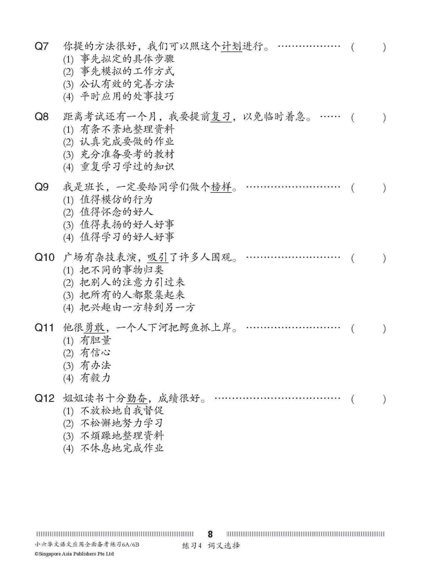 小六华文 语文应用 全面备考练习 6A/6B / Chinese Language and Usage Pre-exam Practice for Primary 6A/6B