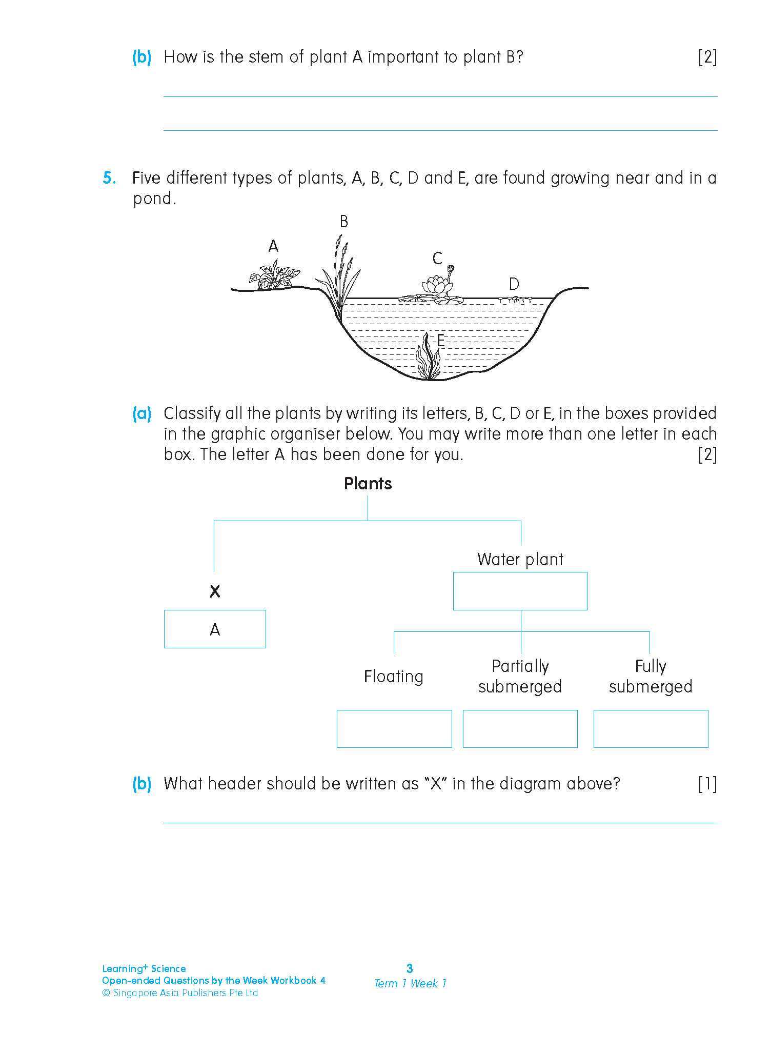 LEARNING+ SCIENCE Open-ended Questions by the WEEK Workbook 4
