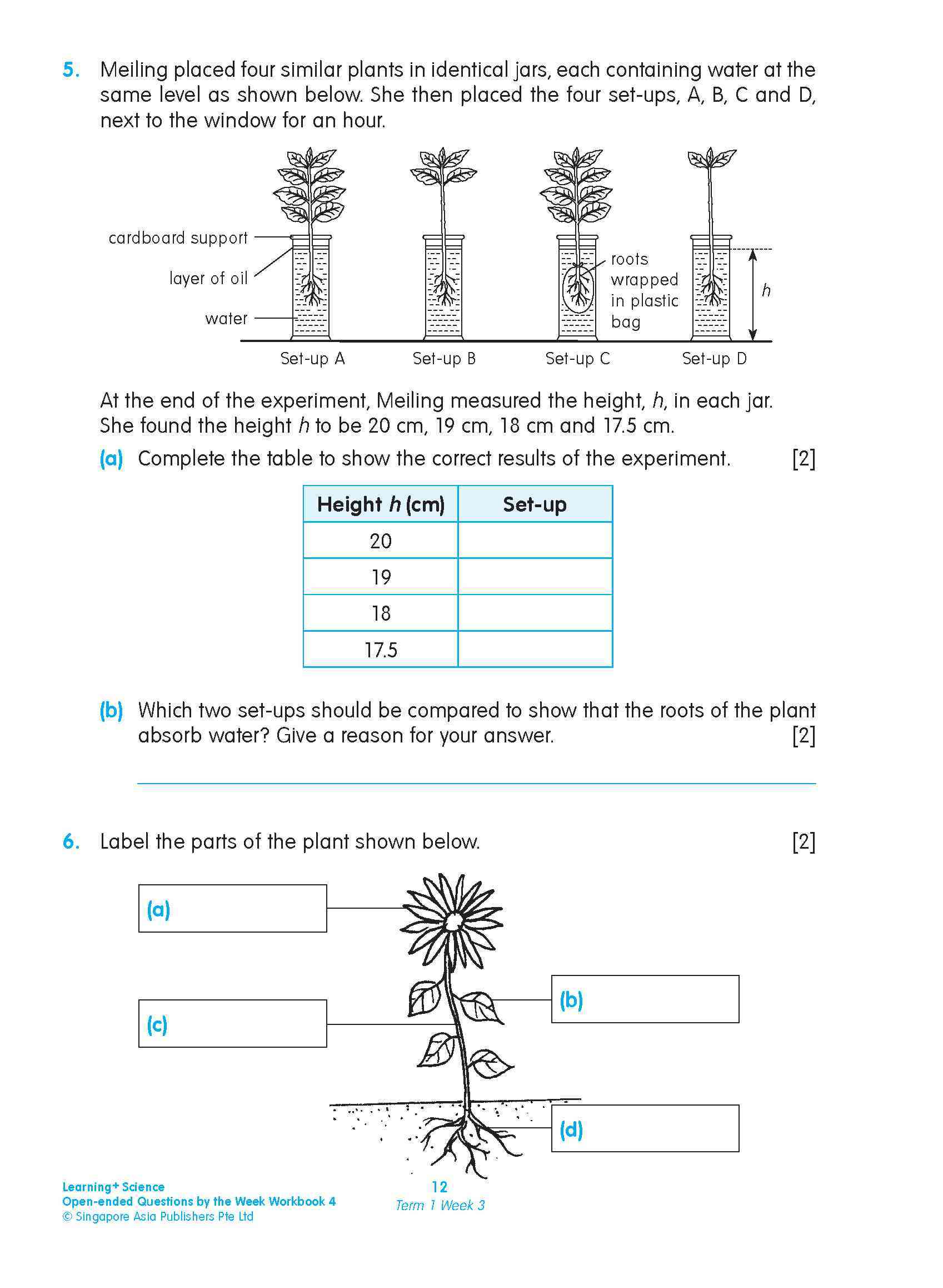 LEARNING+ SCIENCE Open-ended Questions by the WEEK Workbook 4