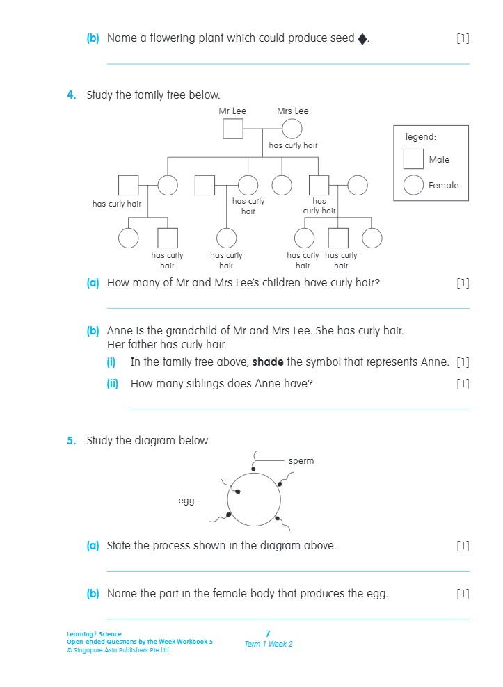 LEARNING+ SCIENCE Open-ended Questions by the WEEK Workbook 5