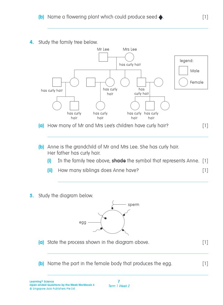 LEARNING+ SCIENCE Open-ended Questions by the WEEK Workbook 5