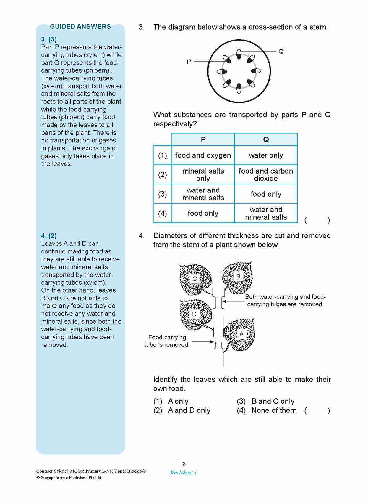 Conquer SCIENCE MCQs! Primary Level Upper Block 5/6