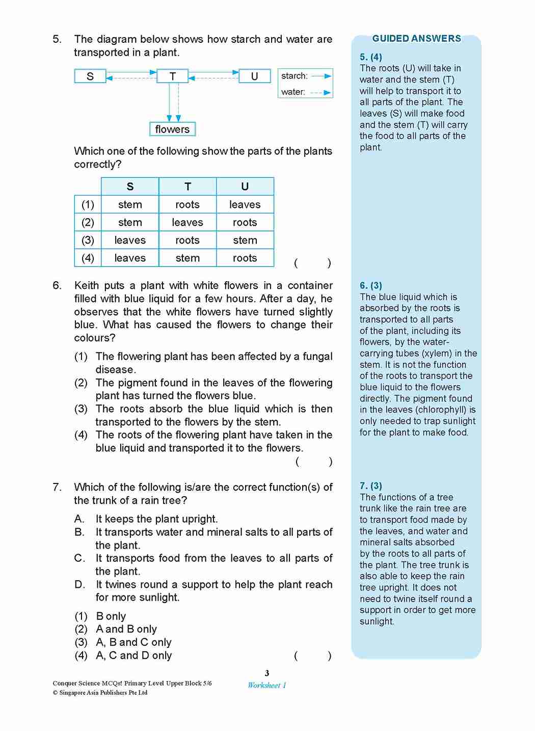 Conquer SCIENCE MCQs! Primary Level Upper Block 5/6