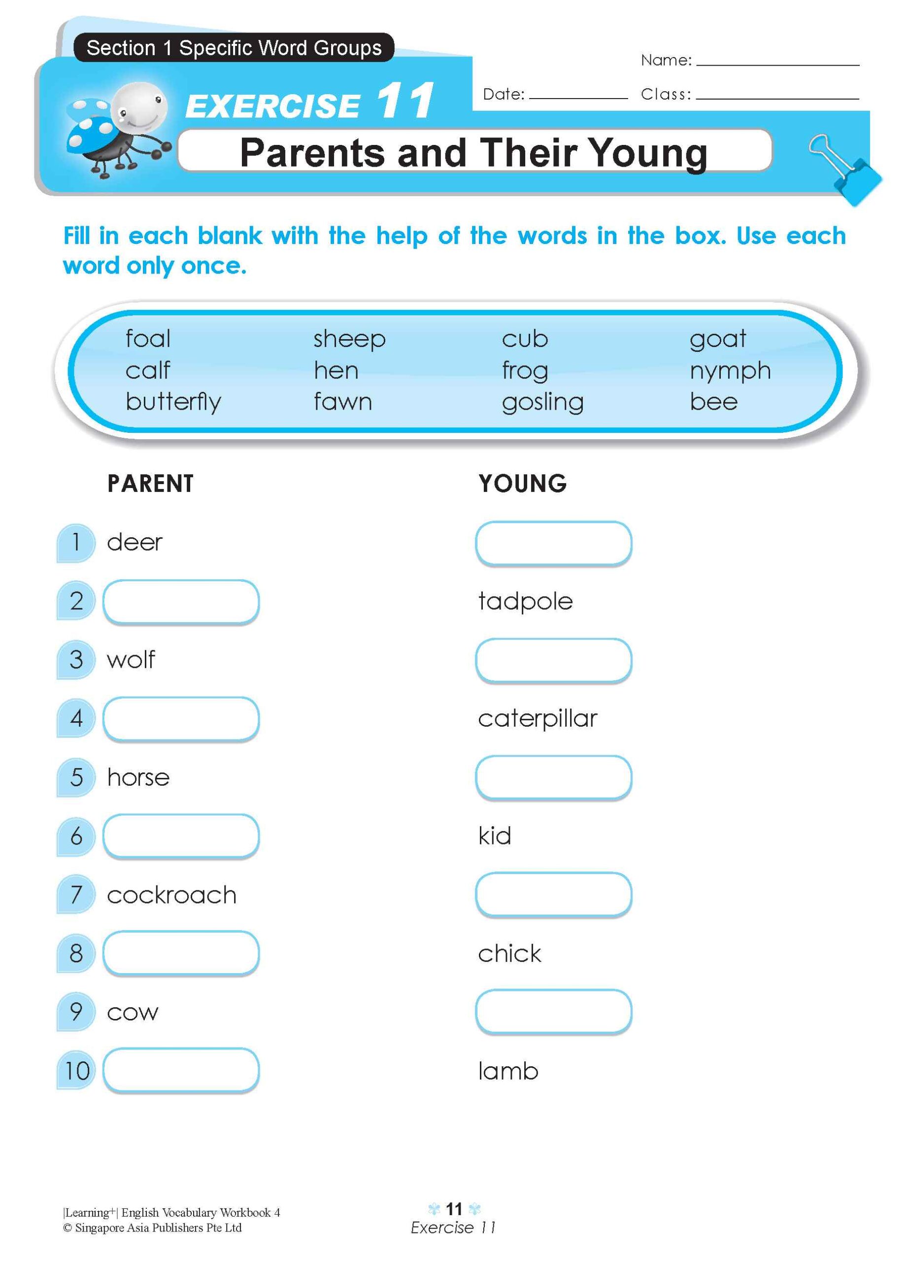LEARNING+ ENGLISH VOCABULARY Workbook 4