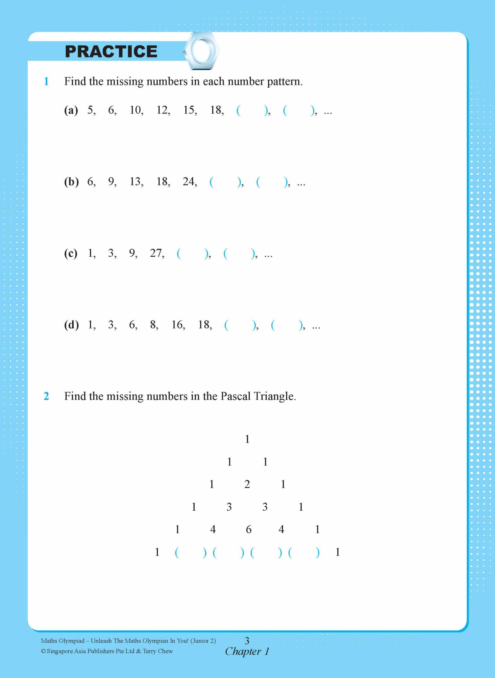 Maths Olympiad Junior 2