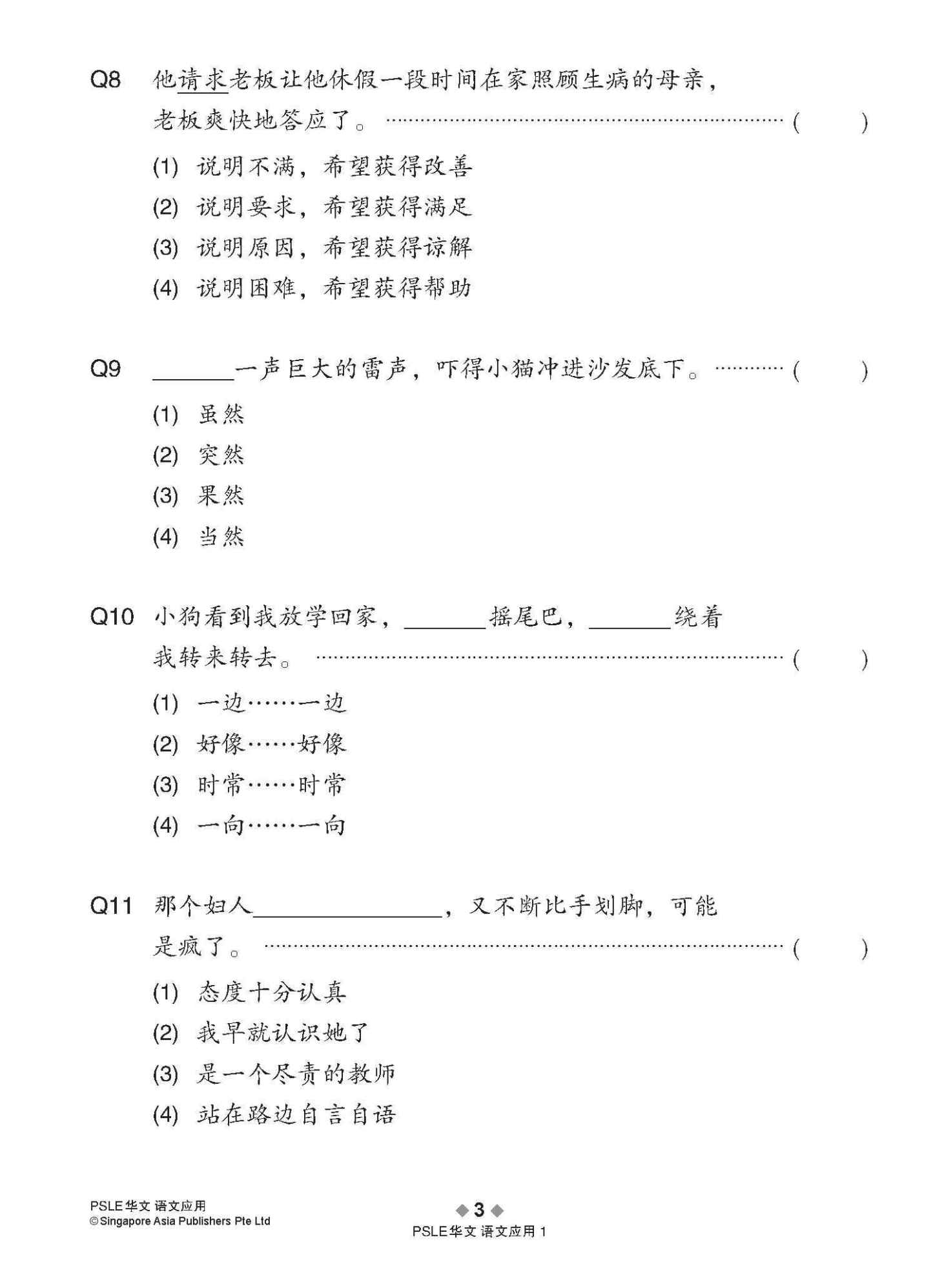 会考满分冲刺 PSLE华文语文应用 / PSLE Chinese Language and Usage