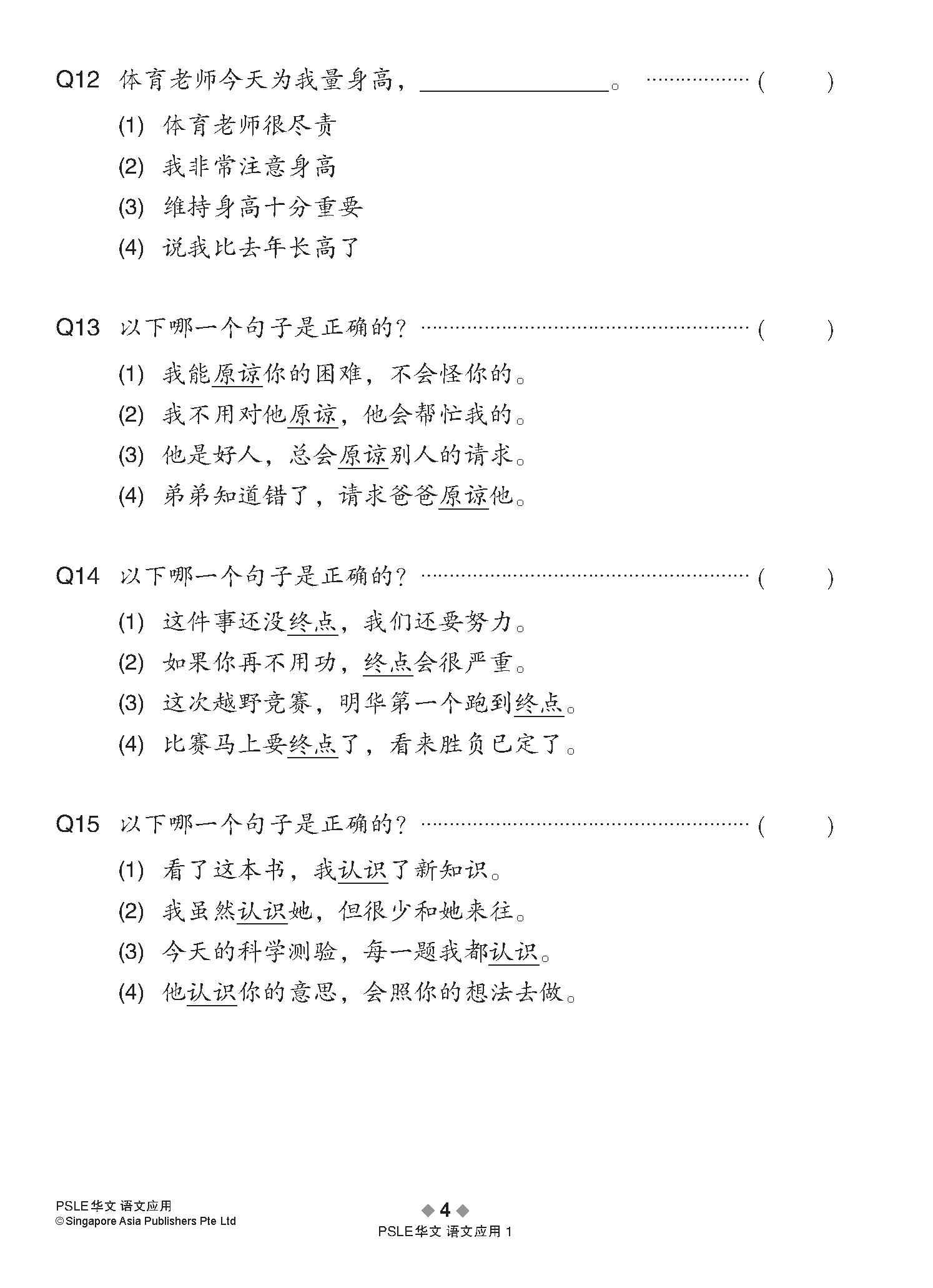 会考满分冲刺 PSLE华文语文应用 / PSLE Chinese Language and Usage