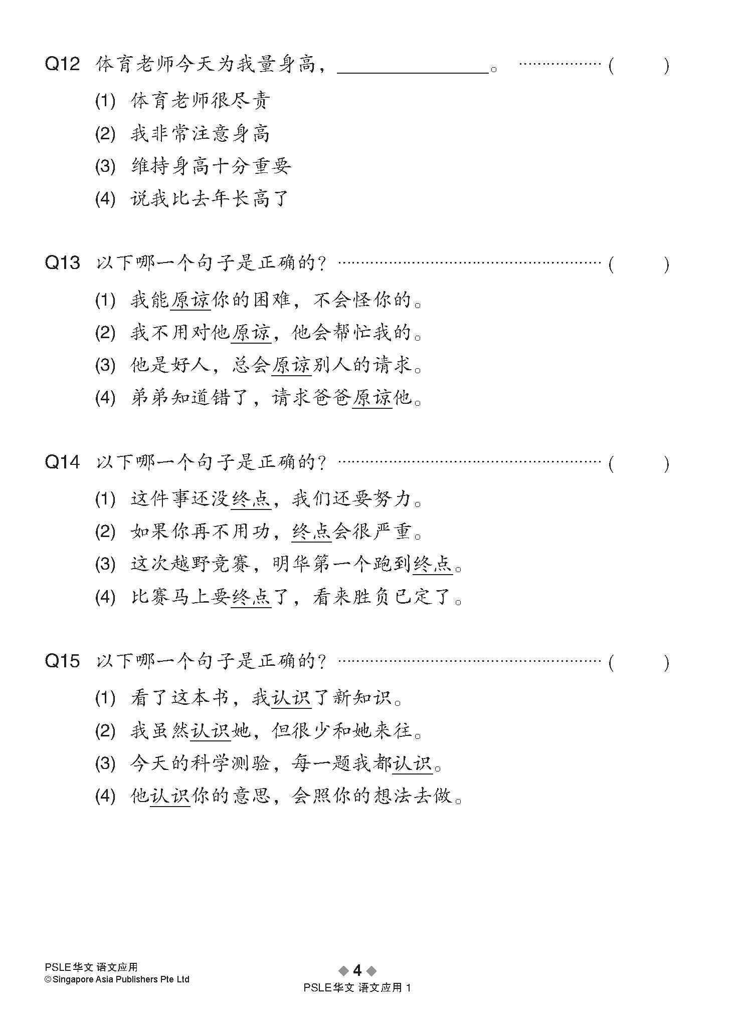 会考满分冲刺 PSLE华文语文应用 / PSLE Chinese Language and Usage