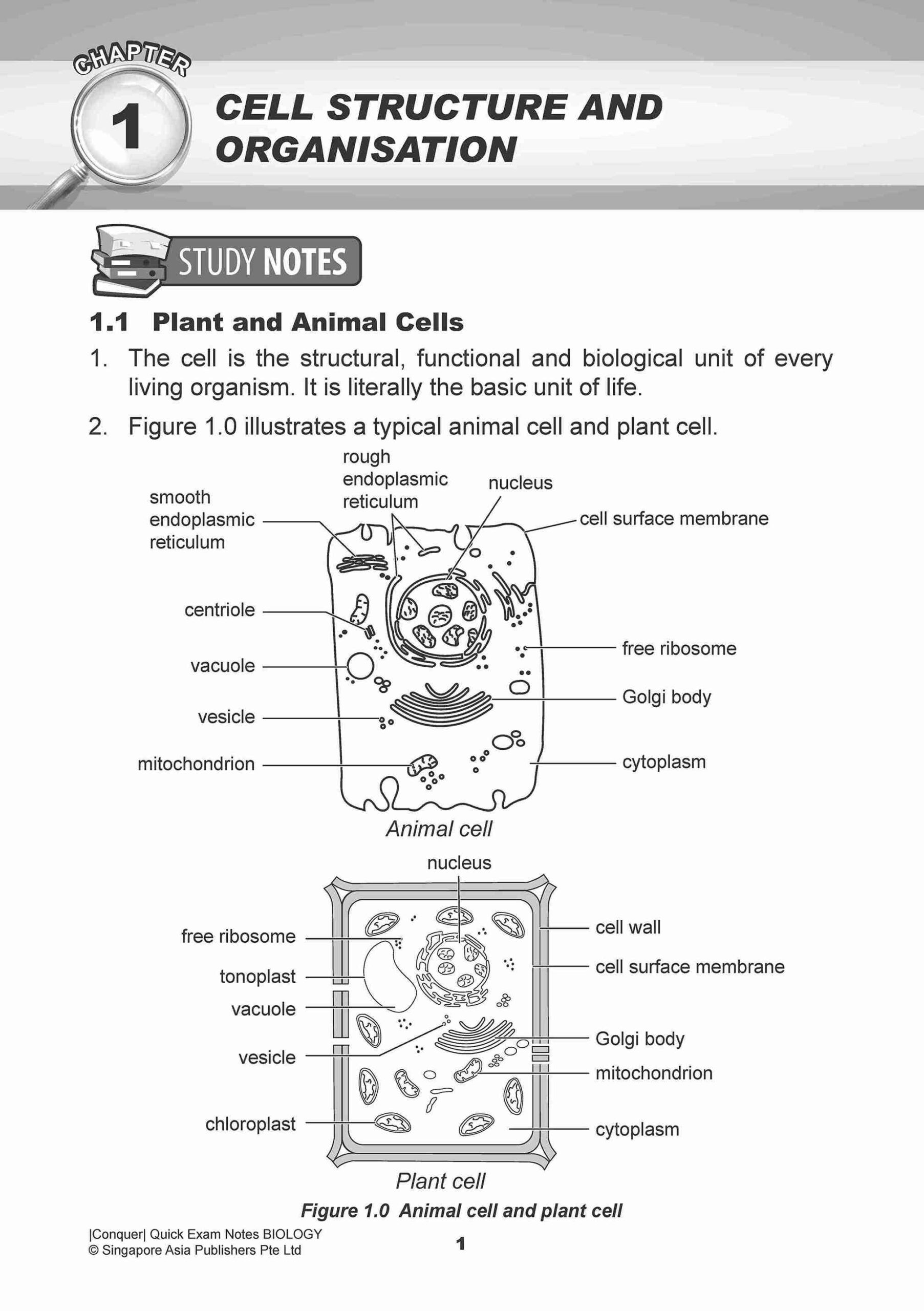 Conquer QUICK EXAM NOTES BIOLOGY