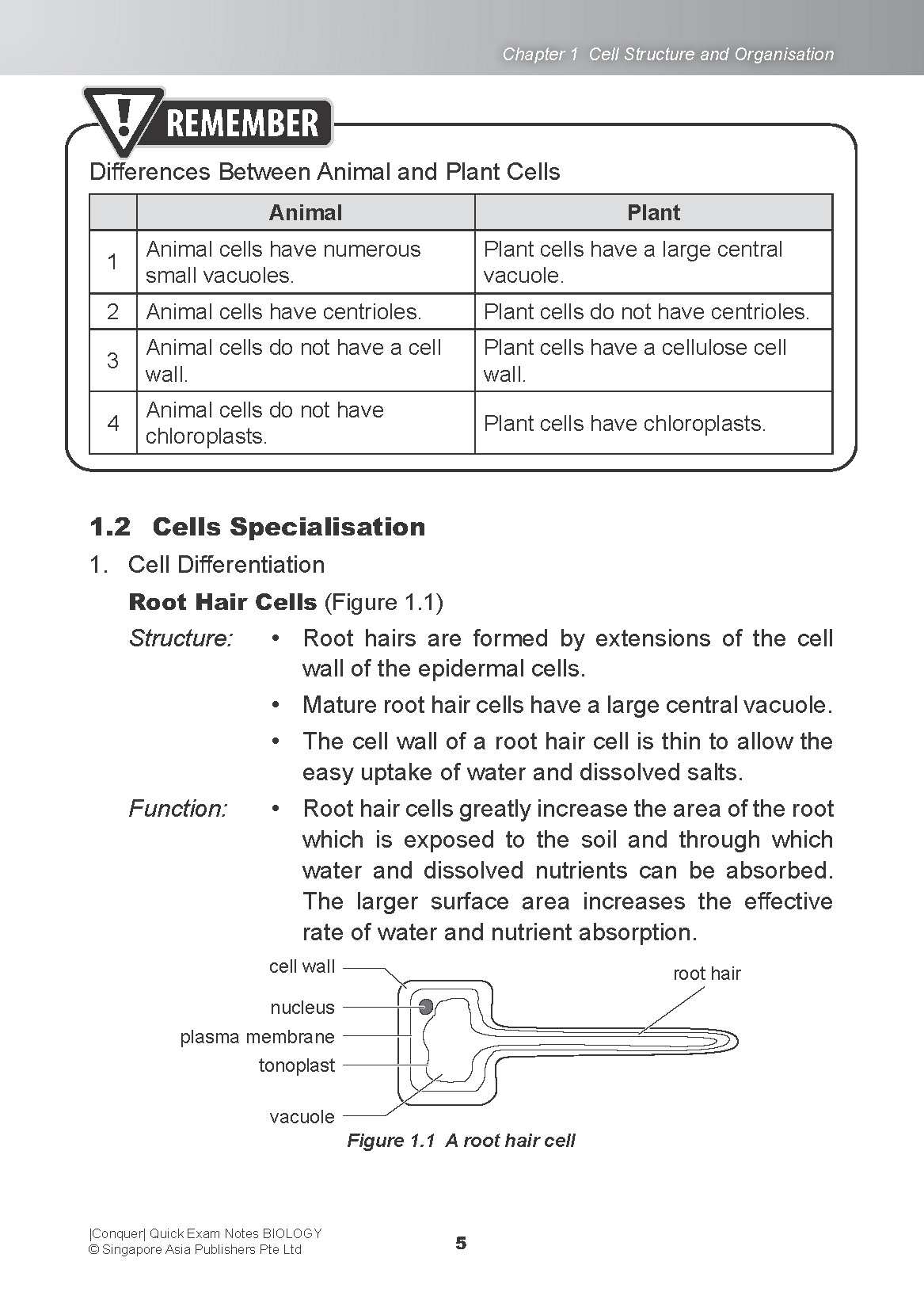 Conquer QUICK EXAM NOTES BIOLOGY
