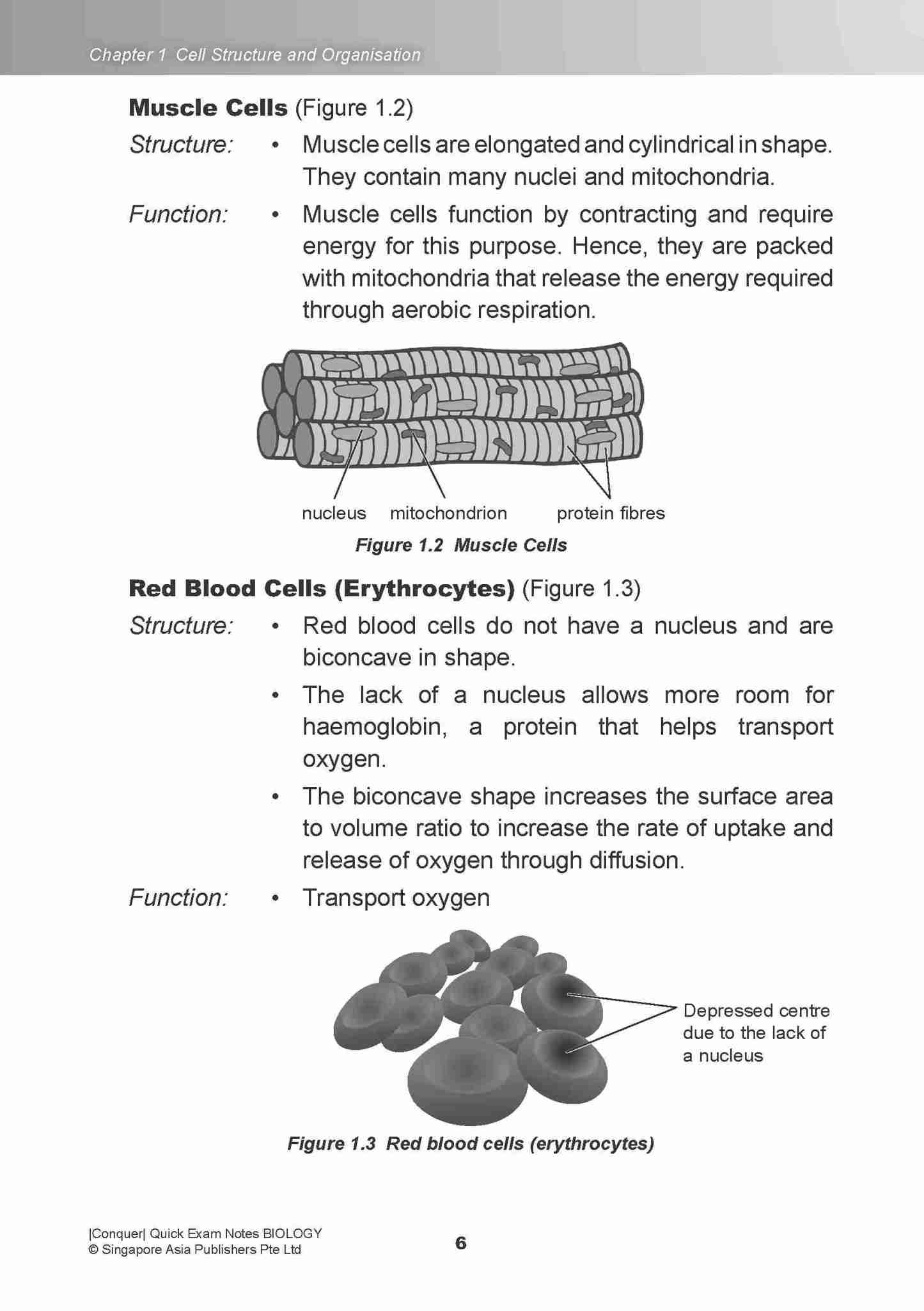 Conquer QUICK EXAM NOTES BIOLOGY