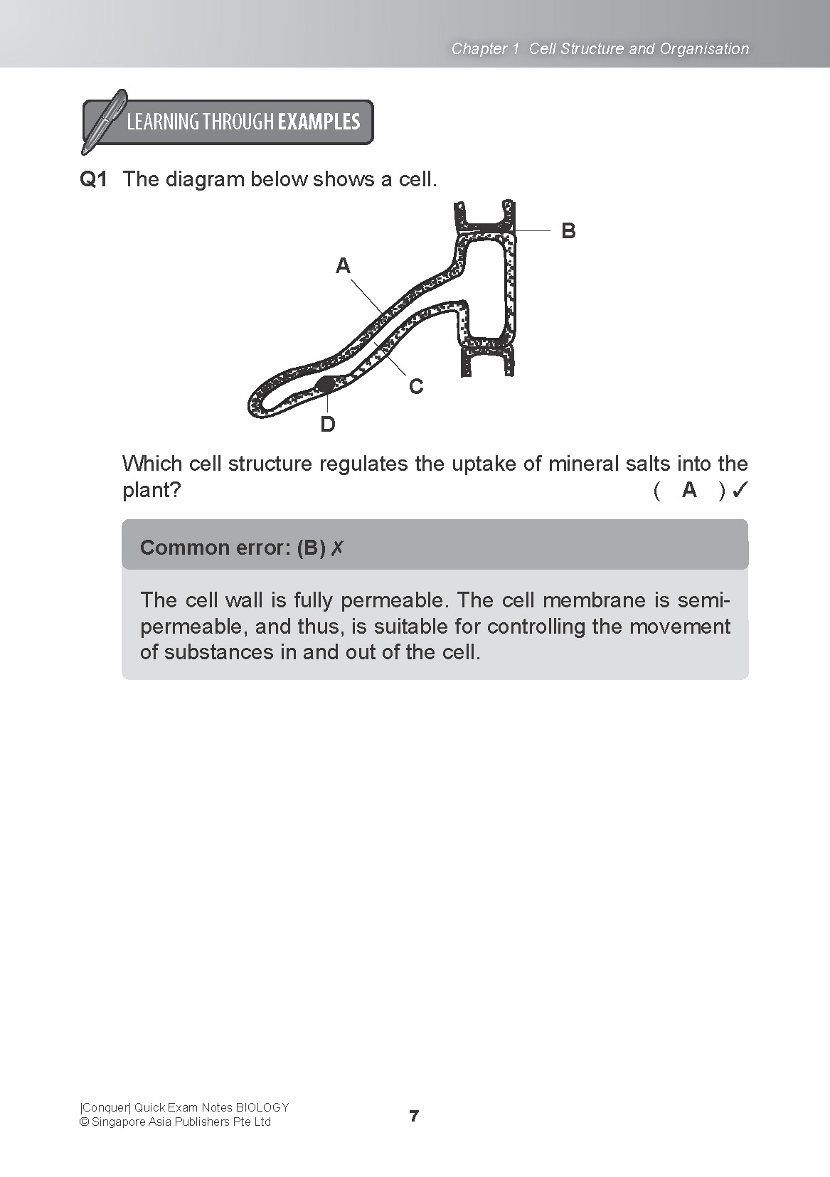 Conquer QUICK EXAM NOTES BIOLOGY