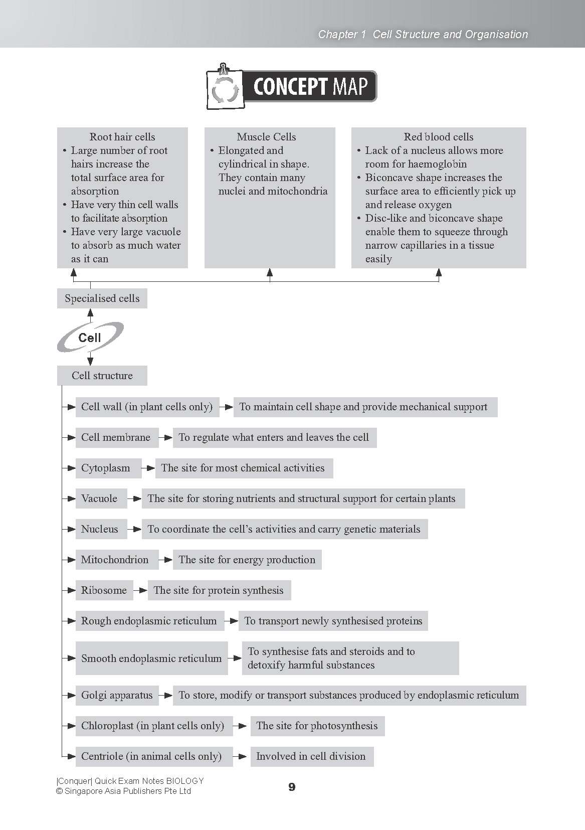 Conquer QUICK EXAM NOTES BIOLOGY