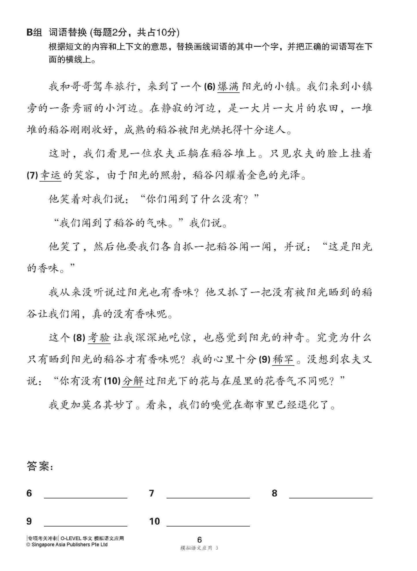 专项考关冲刺 O-LEVEL华文 模拟语文应用 / O-Level Chinese Language And Usage Mock Examinations