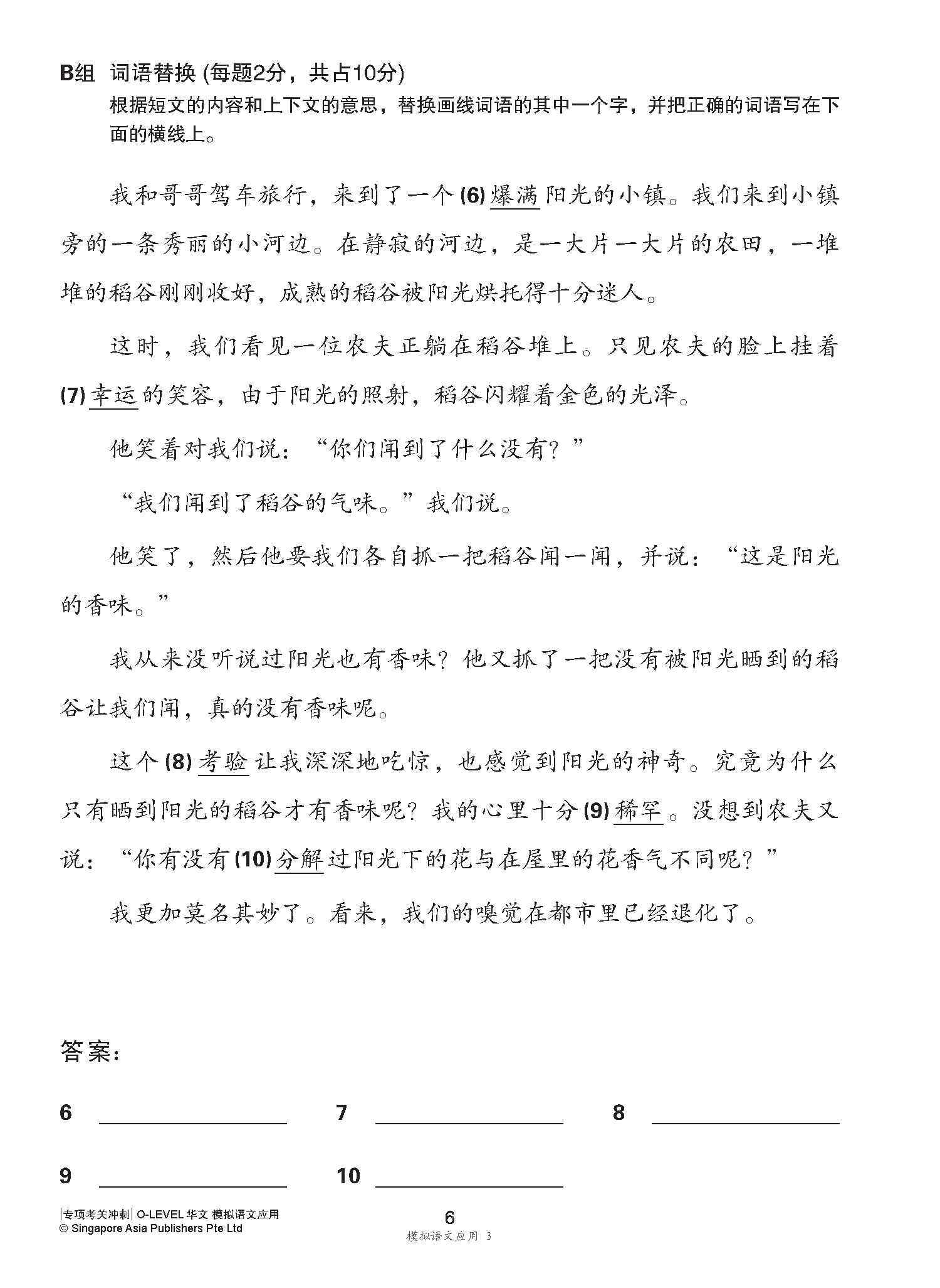 专项考关冲刺 O-LEVEL华文 模拟语文应用 / O-Level Chinese Language And Usage Mock Examinations