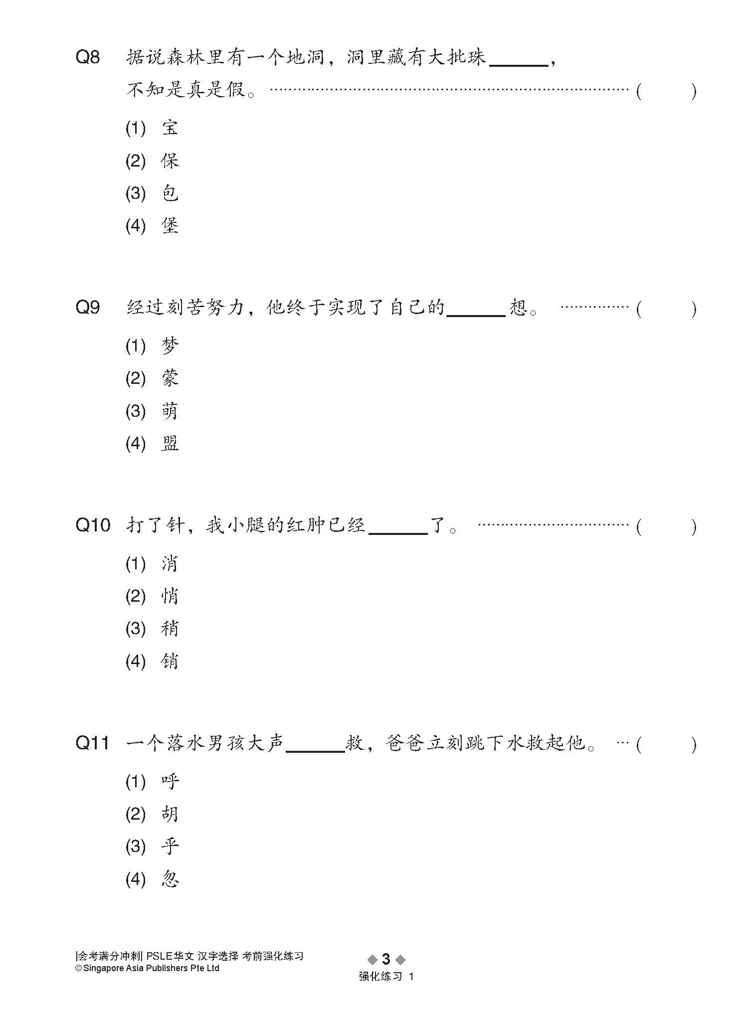 会考满分冲刺 PSLE华文汉字选择考前强化练习 / PSLE Chinese Word Enrichment Exercises