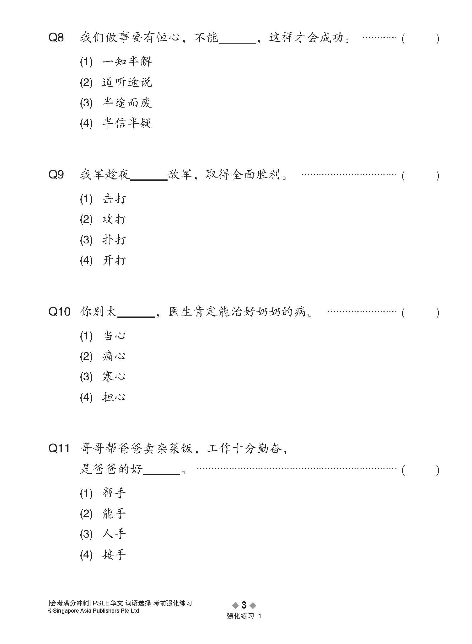 会考满分冲刺 PSLE华文词语选择考前强化练习 / PSLE Chinese Vocabulary Enrichment Exercises