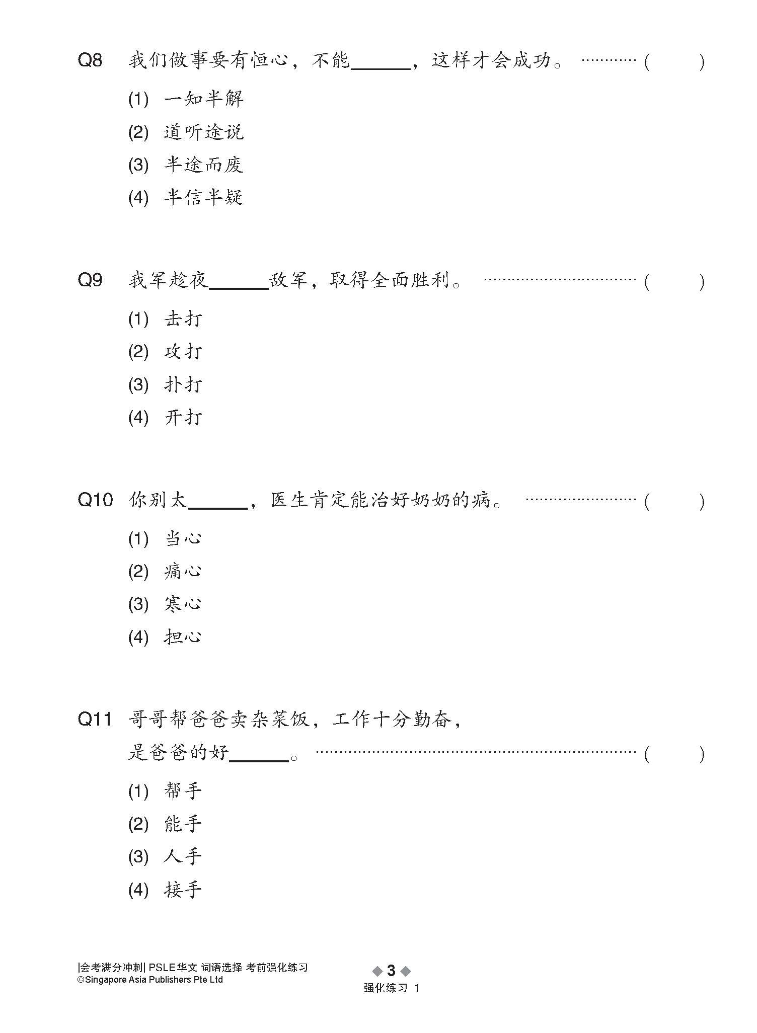 会考满分冲刺 PSLE华文词语选择考前强化练习 / PSLE Chinese Vocabulary Enrichment Exercises
