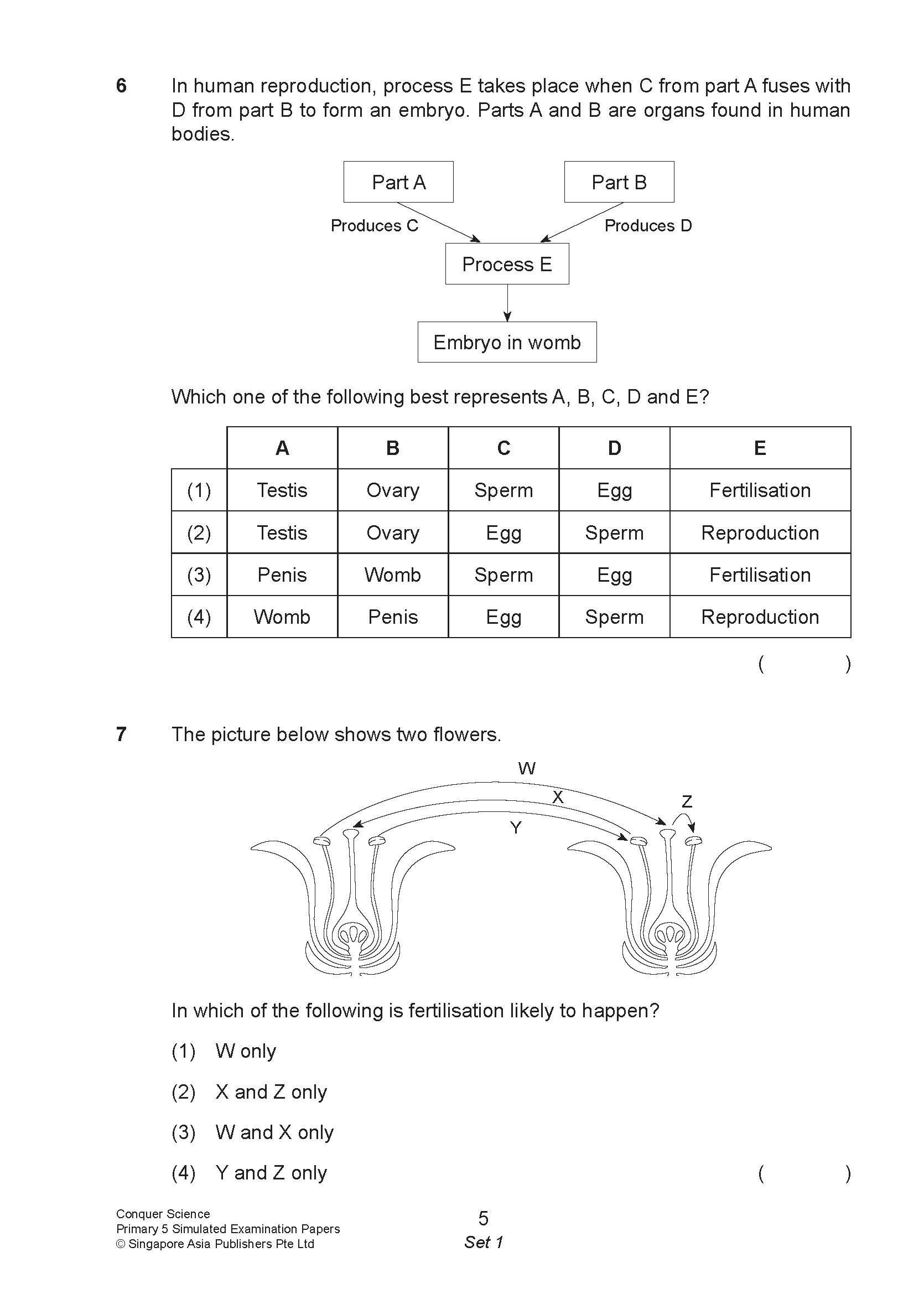 Conquer Science Primary 5 – Simulated Examination Papers
