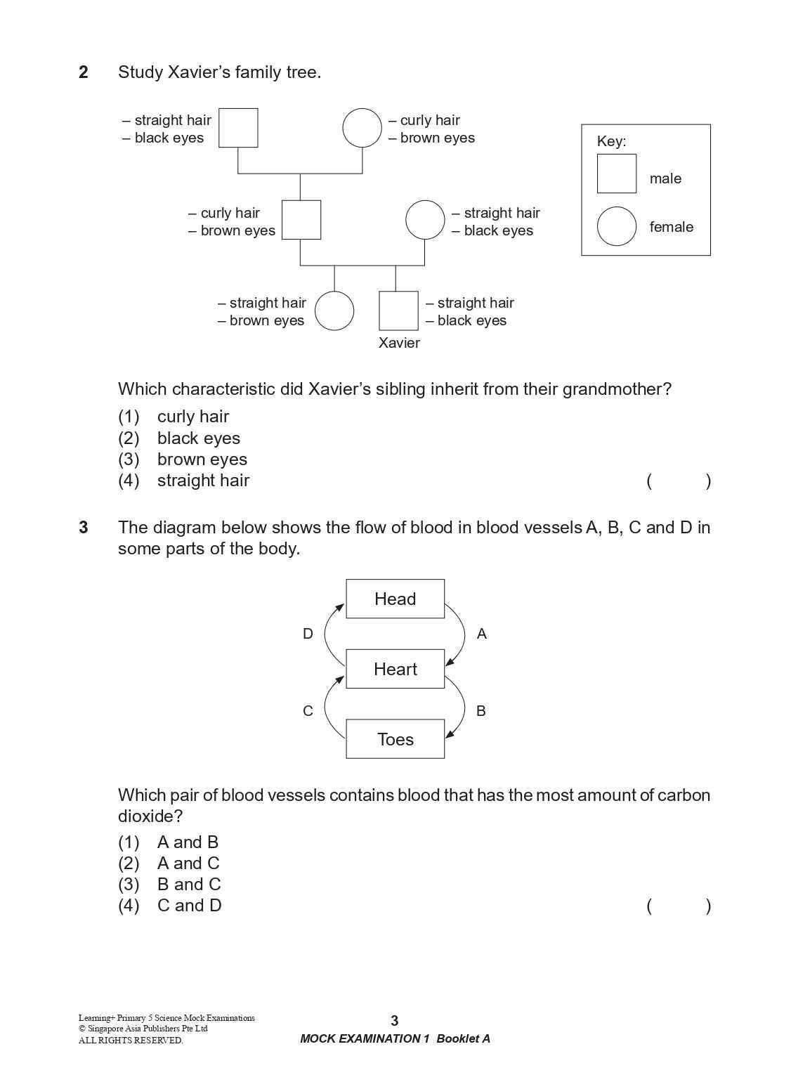 LEARNING+ Primary 5 Science Mock Examinations
