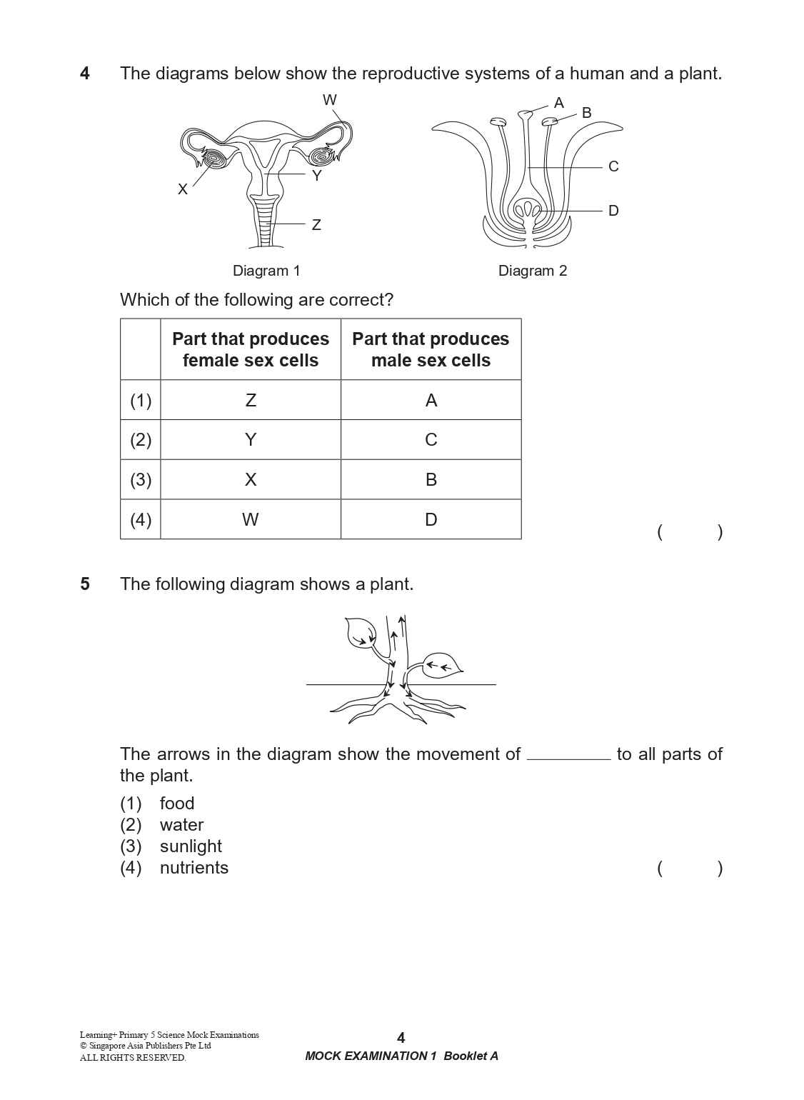 LEARNING+ Primary 5 Science Mock Examinations