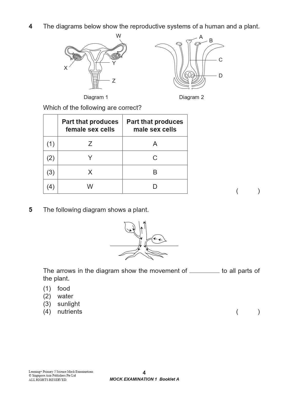 LEARNING+ Primary 5 Science Mock Examinations