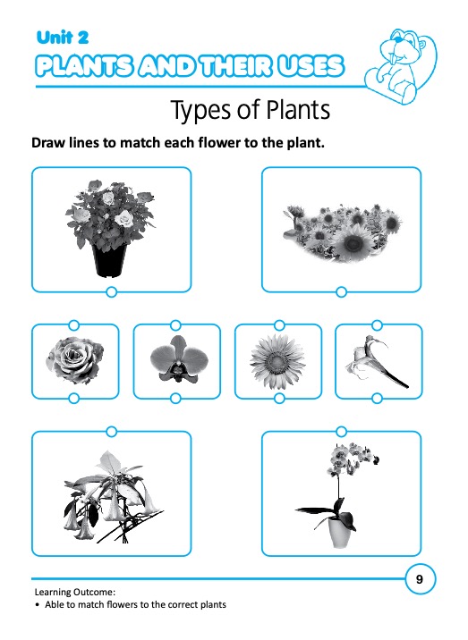 Rainbow Science Activity Book Kindergarten 2A