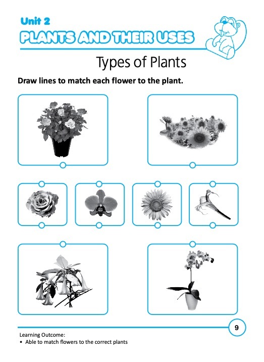 Rainbow Science Activity Book Kindergarten 2A