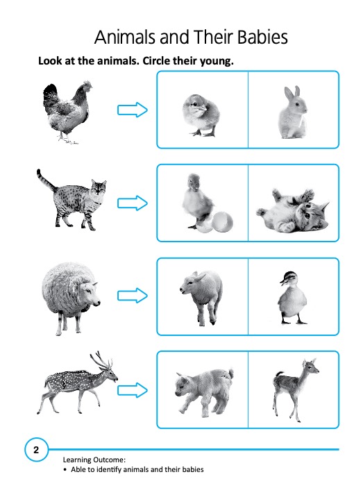 Rainbow Science Activity Book Kindergarten 2A