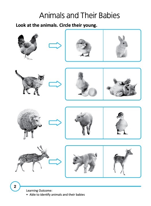 Rainbow Science Activity Book Kindergarten 2A
