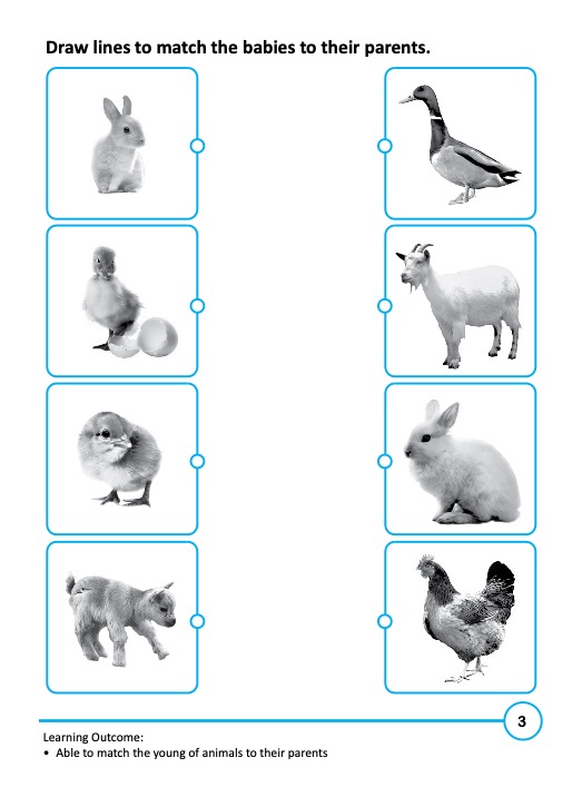 Rainbow Science Activity Book Kindergarten 2A