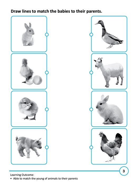 Rainbow Science Activity Book Kindergarten 2A