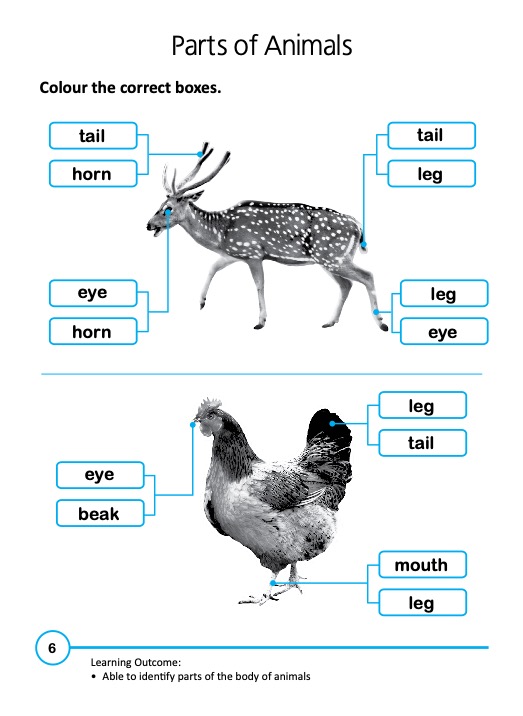 Rainbow Science Activity Book Kindergarten 2A