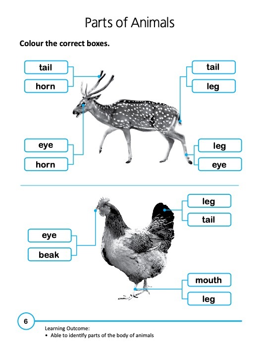 Rainbow Science Activity Book Kindergarten 2A