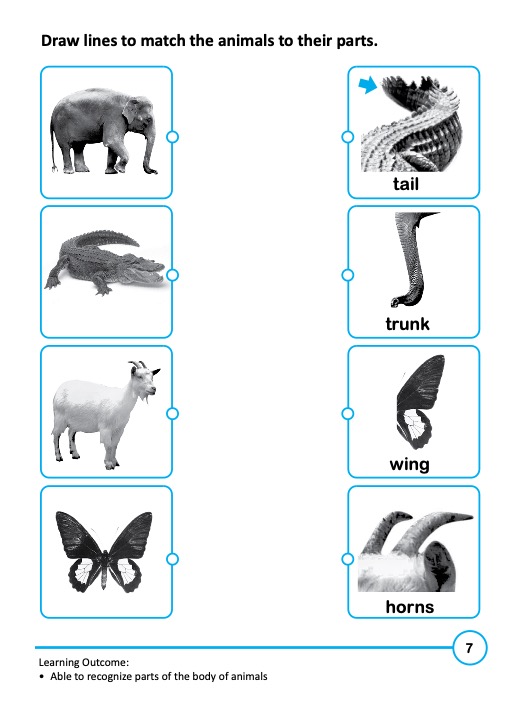 Rainbow Science Activity Book Kindergarten 2A