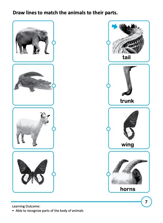 Rainbow Science Activity Book Kindergarten 2A