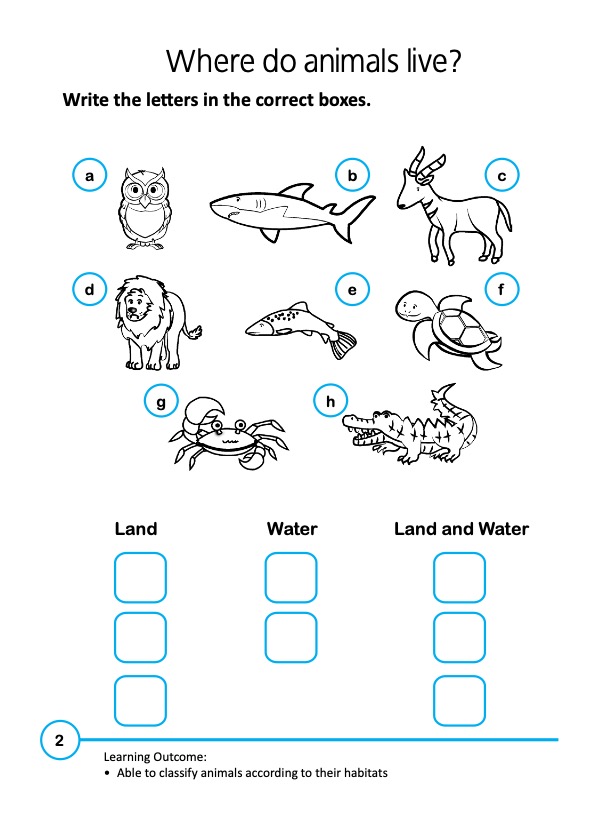 Rainbow Science Activity Book Kindergarten 2B