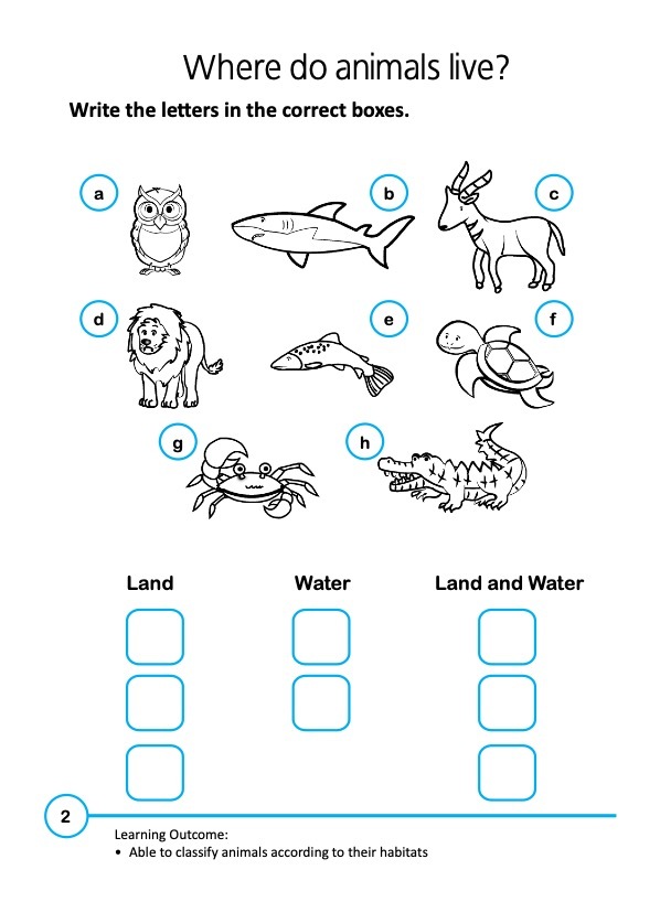 Rainbow Science Activity Book Kindergarten 2B
