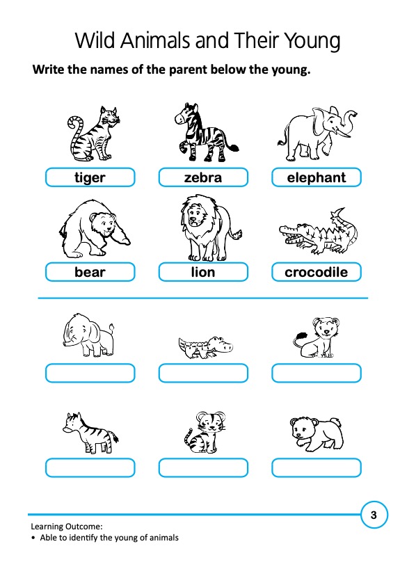 Rainbow Science Activity Book Kindergarten 2B