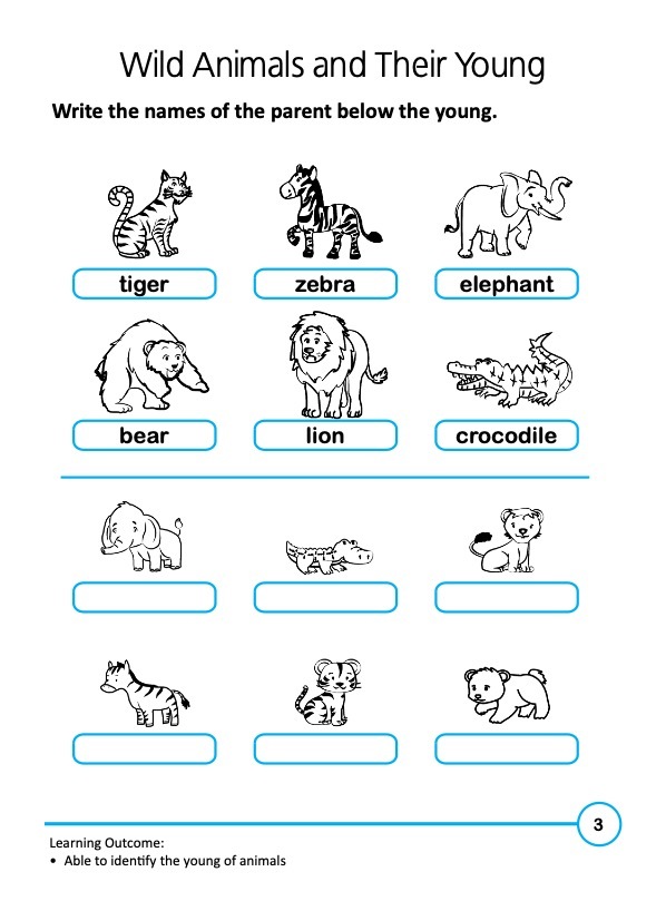 Rainbow Science Activity Book Kindergarten 2B