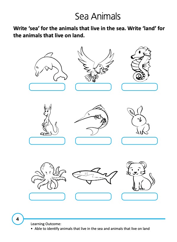 Rainbow Science Activity Book Kindergarten 2B