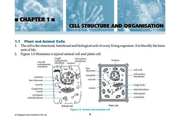 Quick Exam Notes N(A) Level SCIENCE (BIOLOGY)
